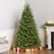 7.5ft. Pre-Lit PowerConnect™ Princeton Fraser Fir Artificial Christmas Tree, Dual Color® LED Lights